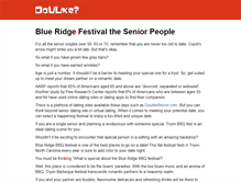 Tablet Screenshot of blueridgebbqfestival.com